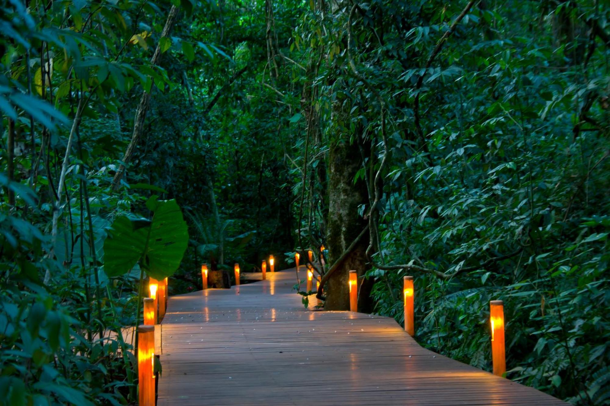 Tierra Guarani Lodge プエルト・イグアス エクステリア 写真