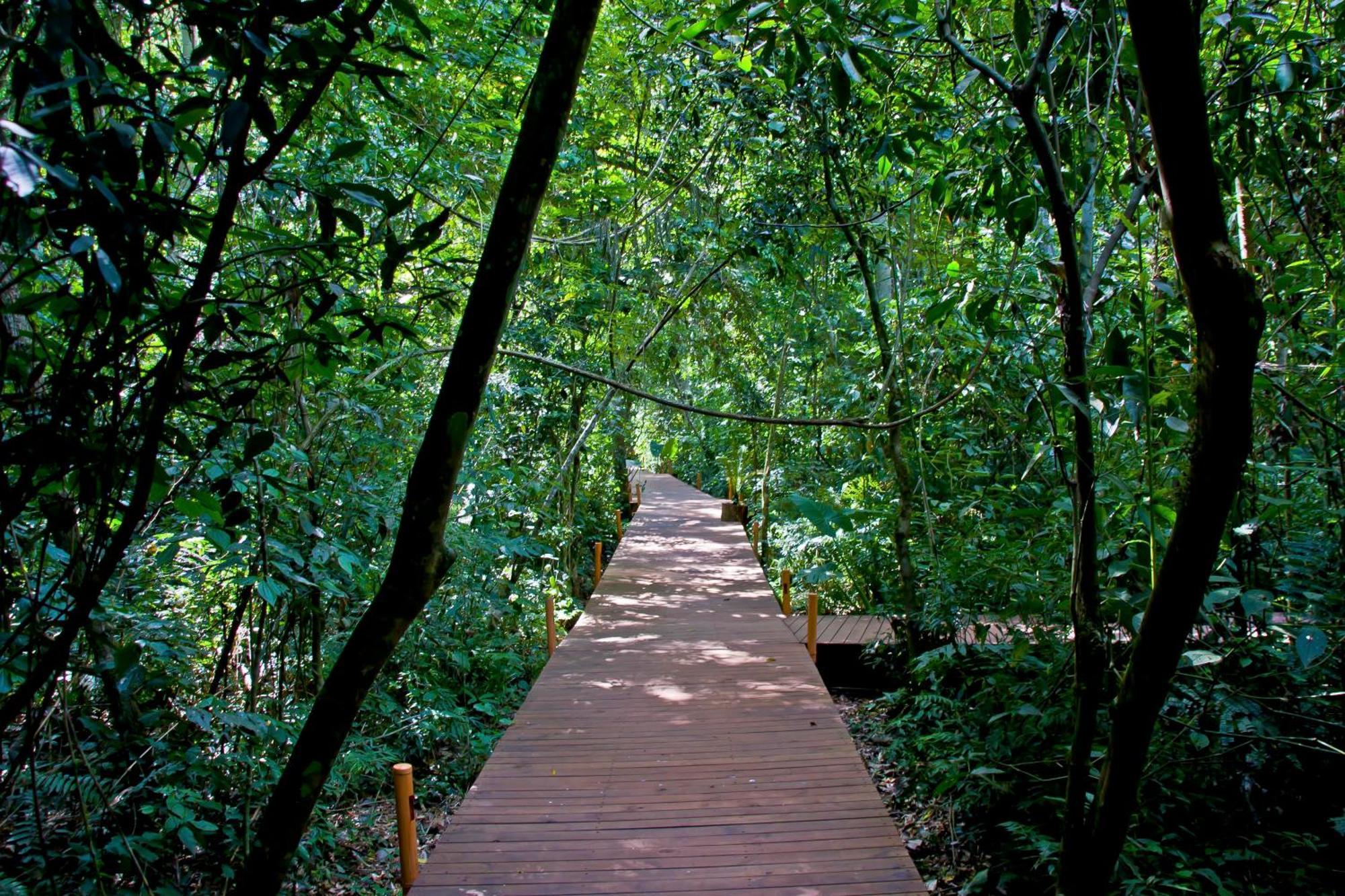 Tierra Guarani Lodge プエルト・イグアス エクステリア 写真