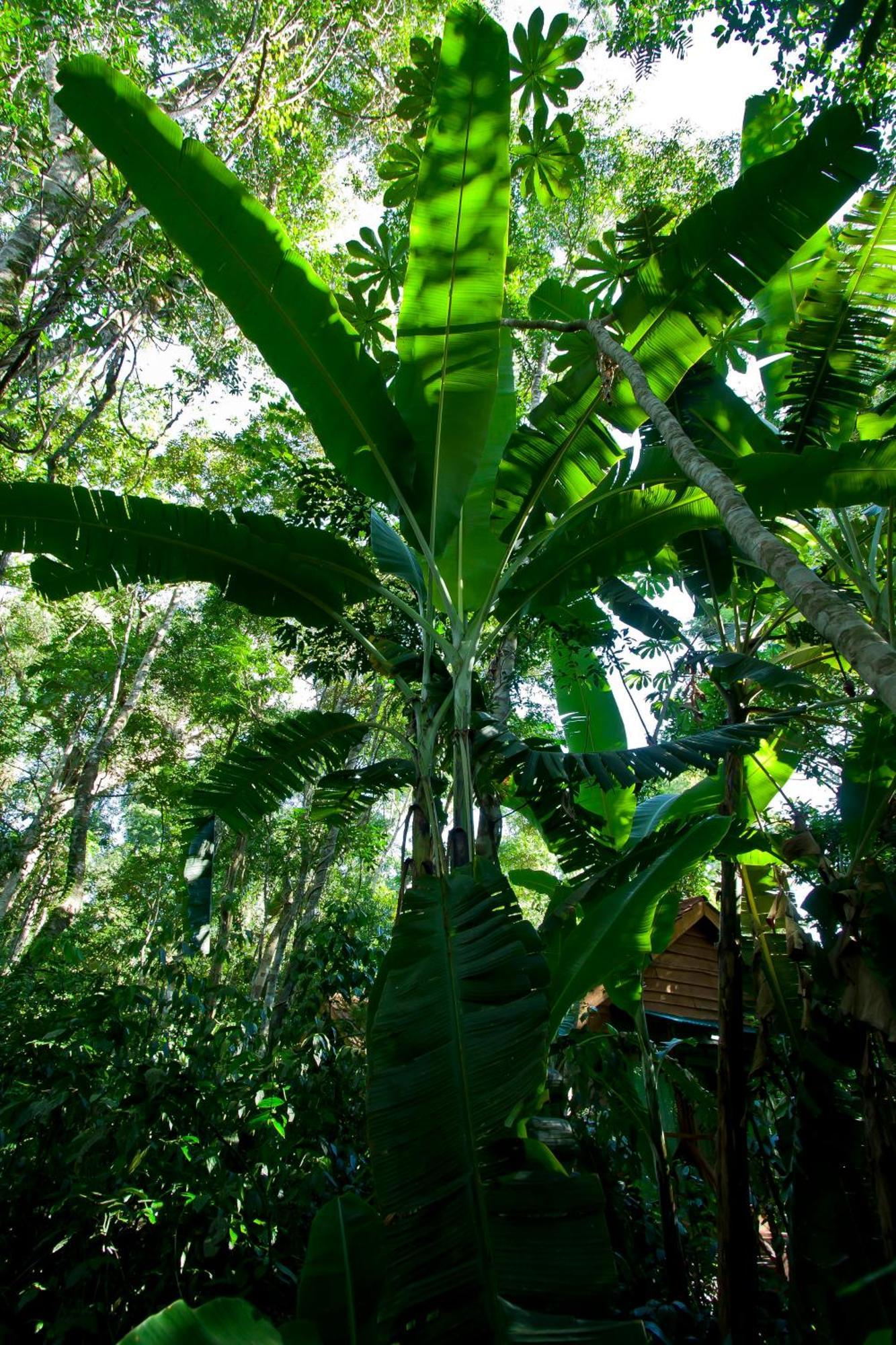 Tierra Guarani Lodge プエルト・イグアス エクステリア 写真