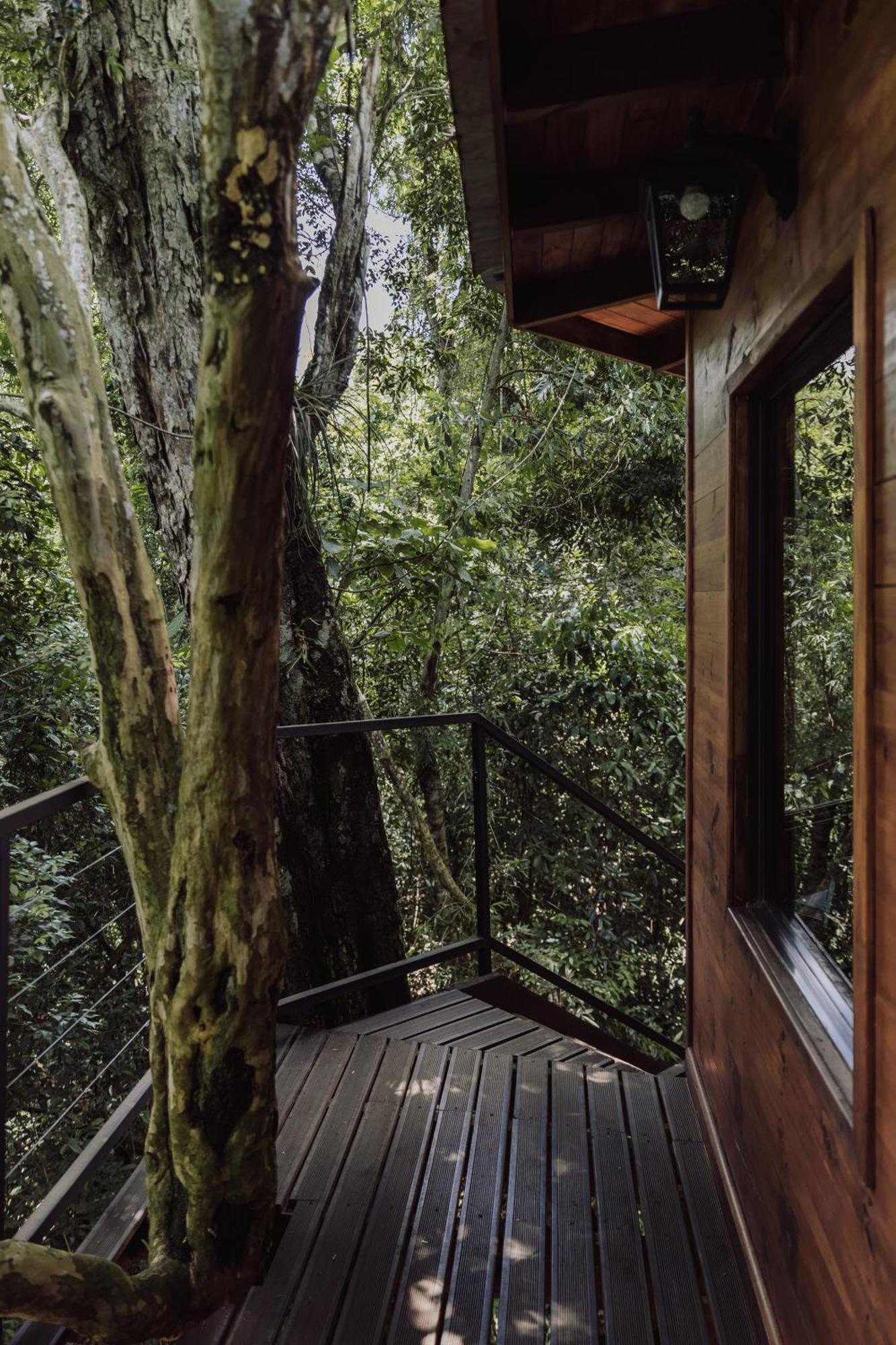 Tierra Guarani Lodge プエルト・イグアス エクステリア 写真