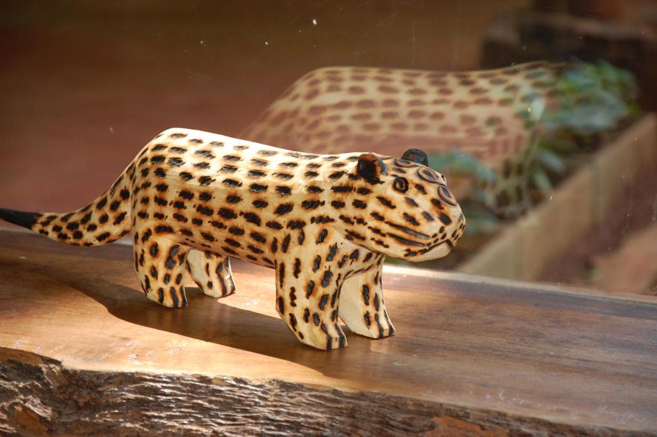 Tierra Guarani Lodge プエルト・イグアス エクステリア 写真