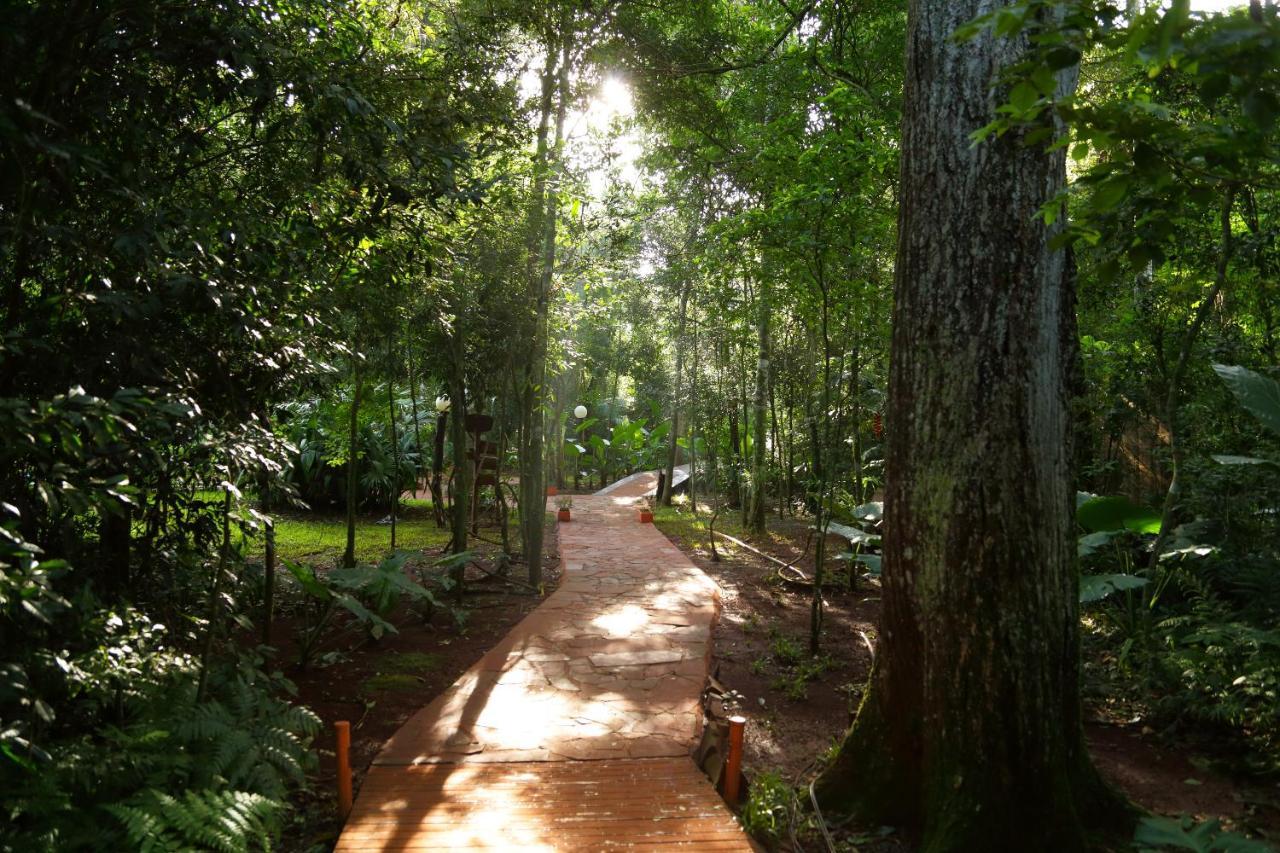 Tierra Guarani Lodge プエルト・イグアス エクステリア 写真