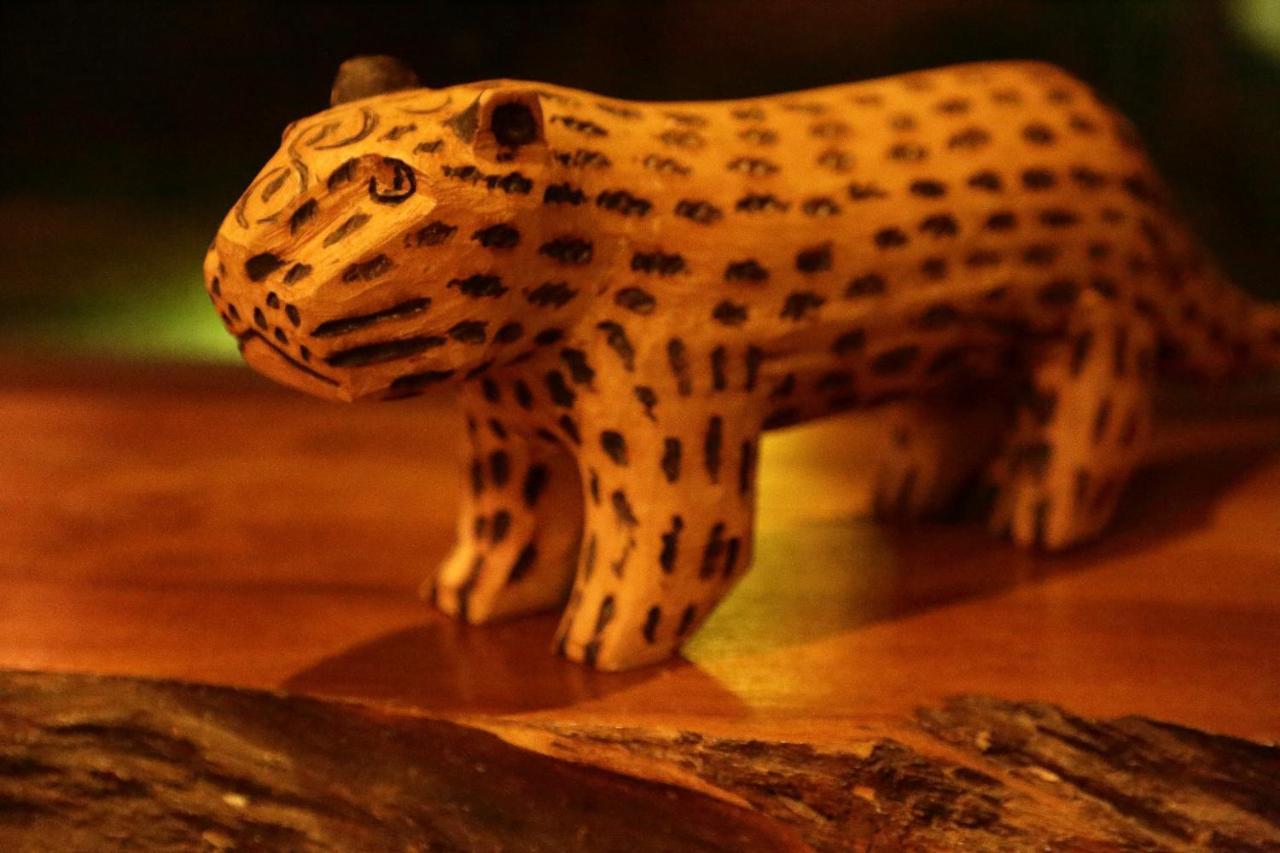 Tierra Guarani Lodge プエルト・イグアス エクステリア 写真