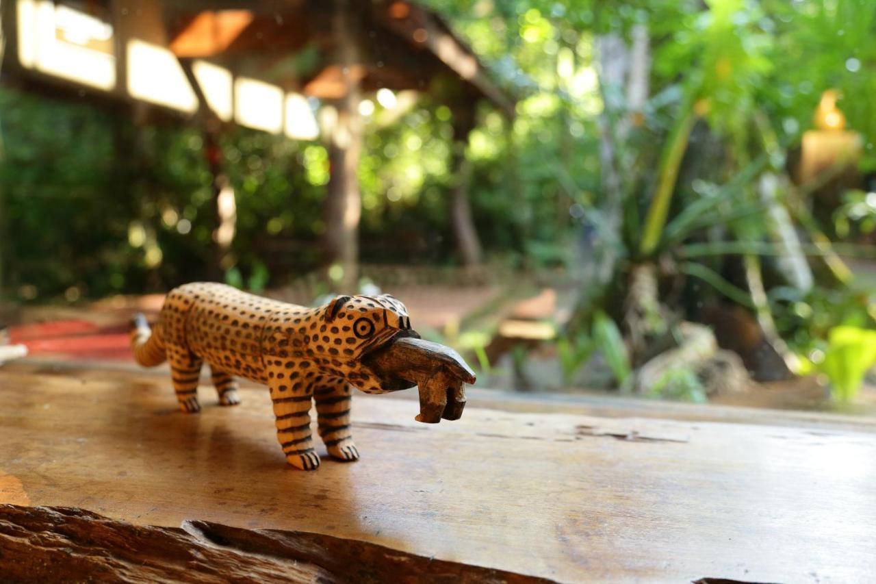 Tierra Guarani Lodge プエルト・イグアス エクステリア 写真